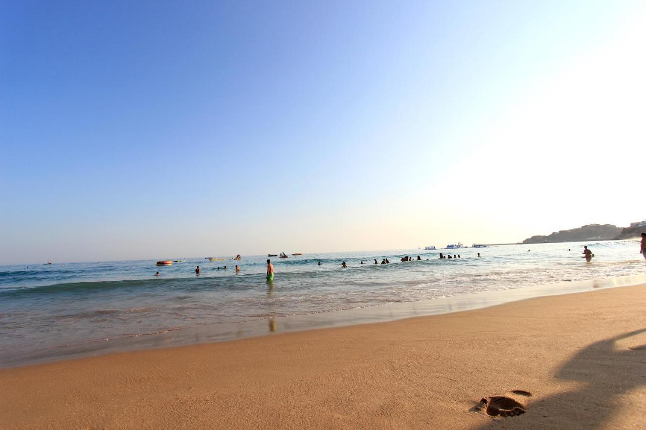 Warm Yellow البوفيرا المظهر الخارجي الصورة