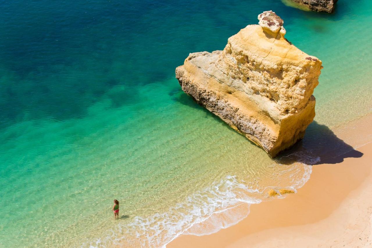 Warm Yellow البوفيرا المظهر الخارجي الصورة